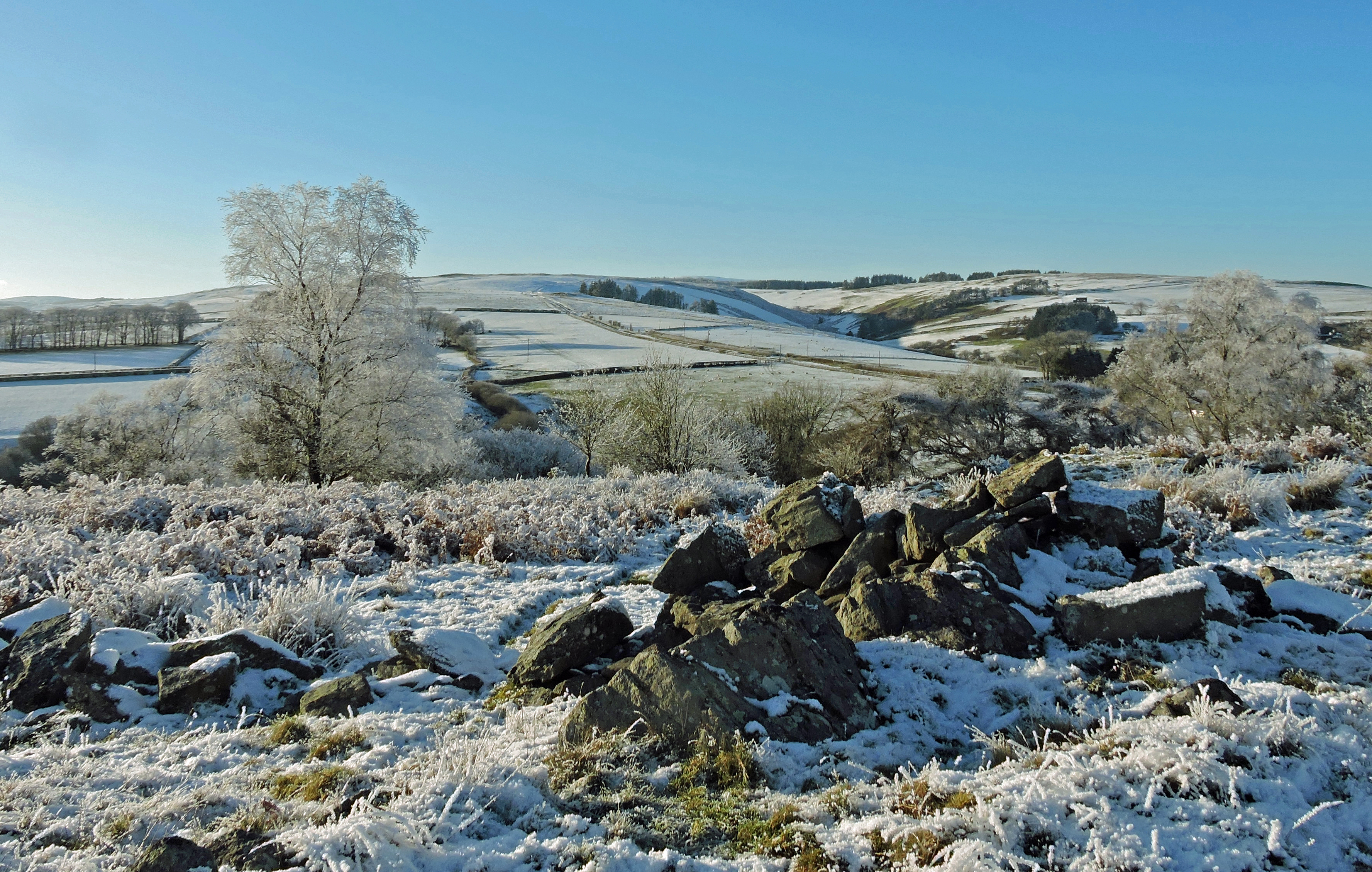 CRISP AND DRY Bill Bagley Photography